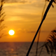 Image for article titled Shooting Challenge Sunset Gallery 2
